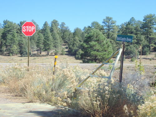 GDMBR: Now we are facing north at the end of the Back Country Byway.